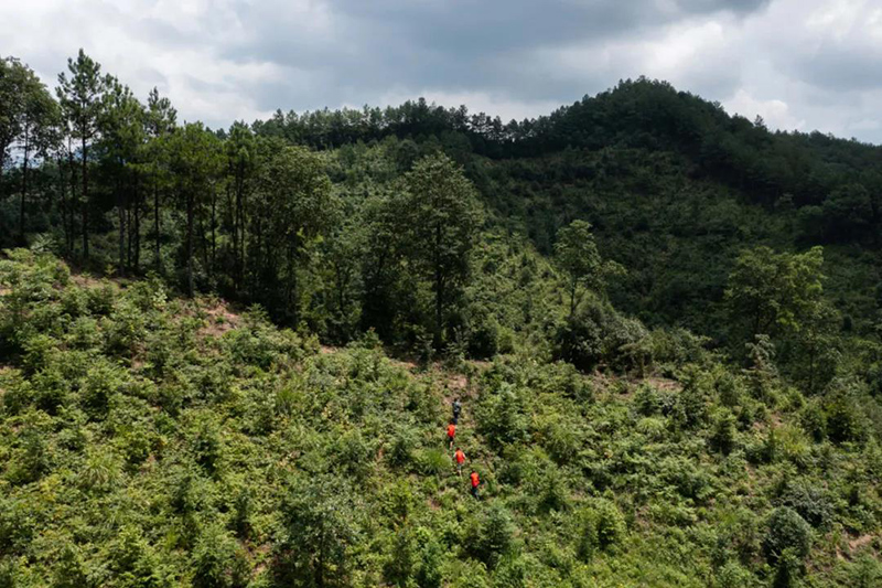 農(nóng)田土壤固碳減排潛力巨大