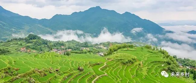 “未來(lái)鄉(xiāng)村”長(zhǎng)啥樣？看看浙江的做法！