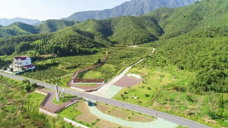 國家級示范，浙江新增4家！