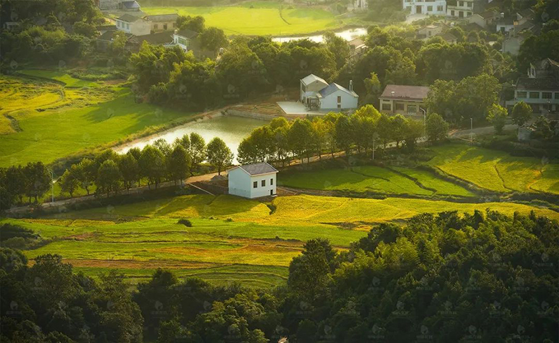 為深入貫徹習(xí)近平生態(tài)文明思想，落實(shí)黨的十九屆六中全會(huì)精神，全面貫徹新發(fā)展理念，深入打好污染防治攻堅(jiān)戰(zhàn)，助力高水平建設(shè)新時(shí)代美麗浙江，浙江省環(huán)境科學(xué)學(xué)會(huì)將于3月3