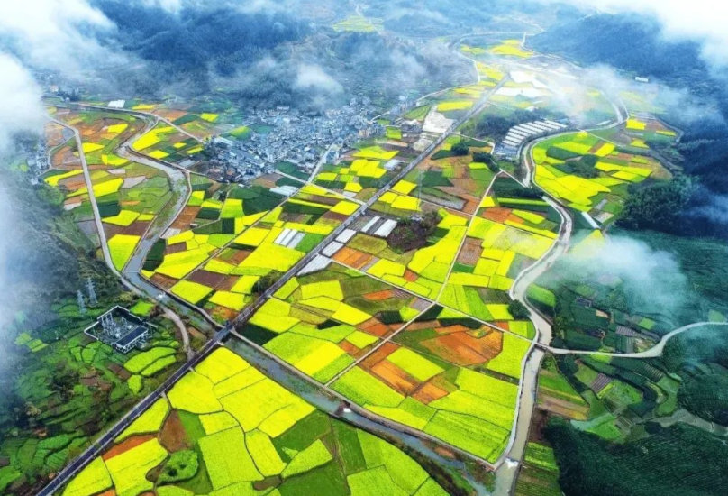 支持社會資本投資農(nóng)村人居環(huán)境整治，《社會資本投資農(nóng)業(yè)農(nóng)村指引（2022年）》發(fā)布