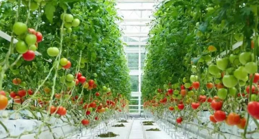 浙報(bào)深讀｜這件事，湖州為何連續(xù)3年成全國唯一“全域先進(jìn)”？