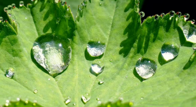 2022年“世界水日”“中國水周”來了！一文看懂，我們這樣做…