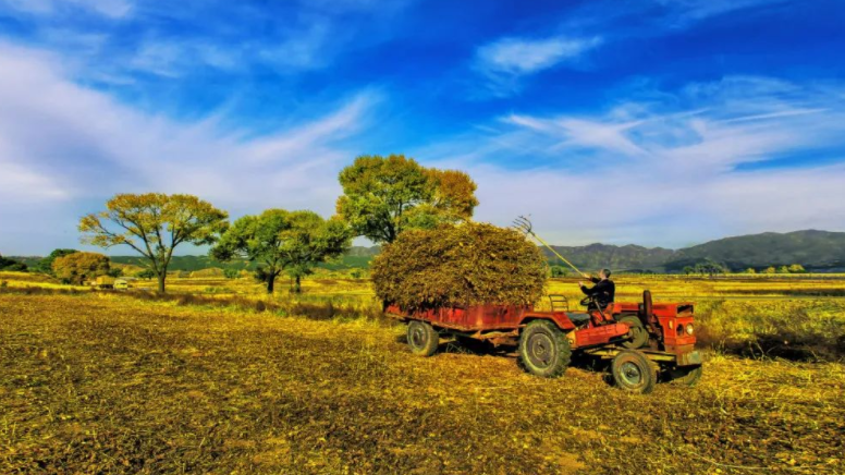 廣西《農(nóng)村生活污水治理“十四五”規(guī)劃》