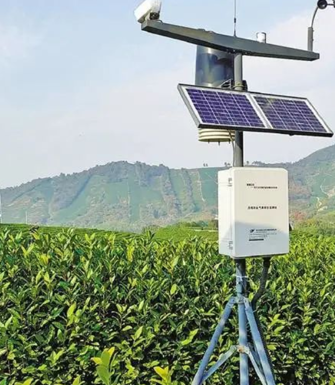 鞏固提升林業(yè)碳匯 助力實(shí)現(xiàn)“雙碳”目標(biāo)，訪林業(yè)碳匯專家周國模