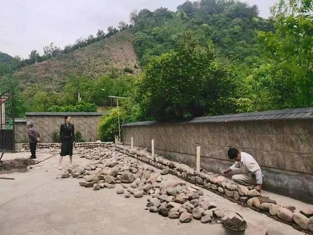 共富“重頭戲”！臨安朱灣村與九耕“牽手”打造“五星生態(tài)農(nóng)場”