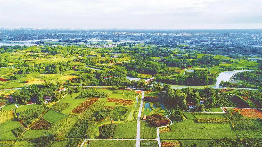 《減污降碳協(xié)同增效實(shí)施方案》發(fā)布，水、土壤、固廢等領(lǐng)域要如何做？