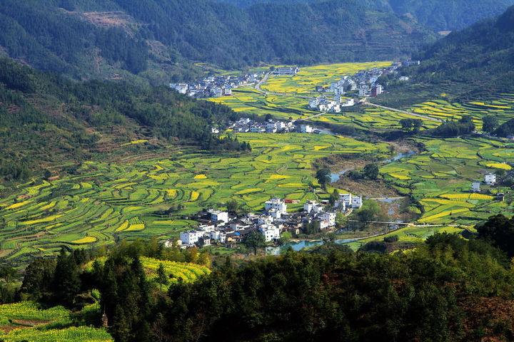 浙江?。盒略鲛r(nóng)村行政村環(huán)境整治1100個(gè)，基本消除農(nóng)村黑臭水體