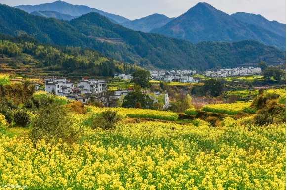 2025 年新增完成 1600 個行政村環(huán)境整治，廣西發(fā)布《農(nóng)業(yè)農(nóng)村污染治理攻堅(jiān)戰(zhàn)實(shí)施方案（2021—2025年）》