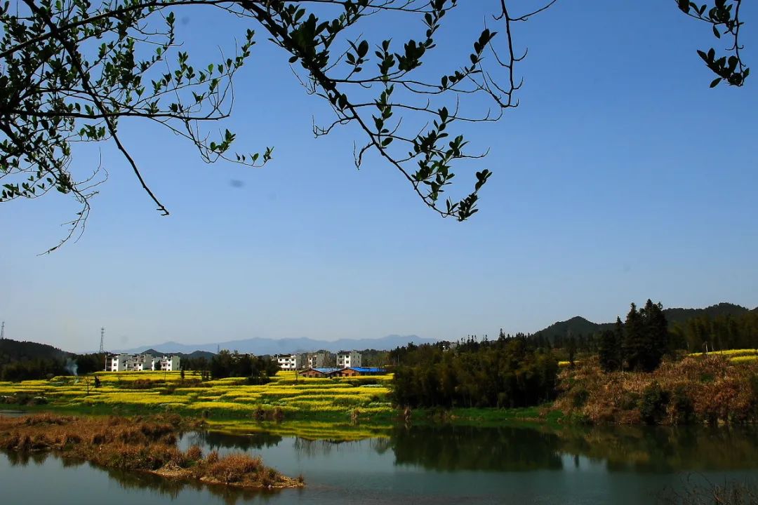 到2025年 山東農(nóng)村生活污水治理率達(dá)到55%