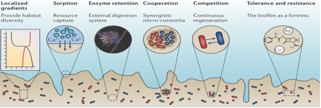 【專題】商達公用農(nóng)村污水核心技術(shù)探究