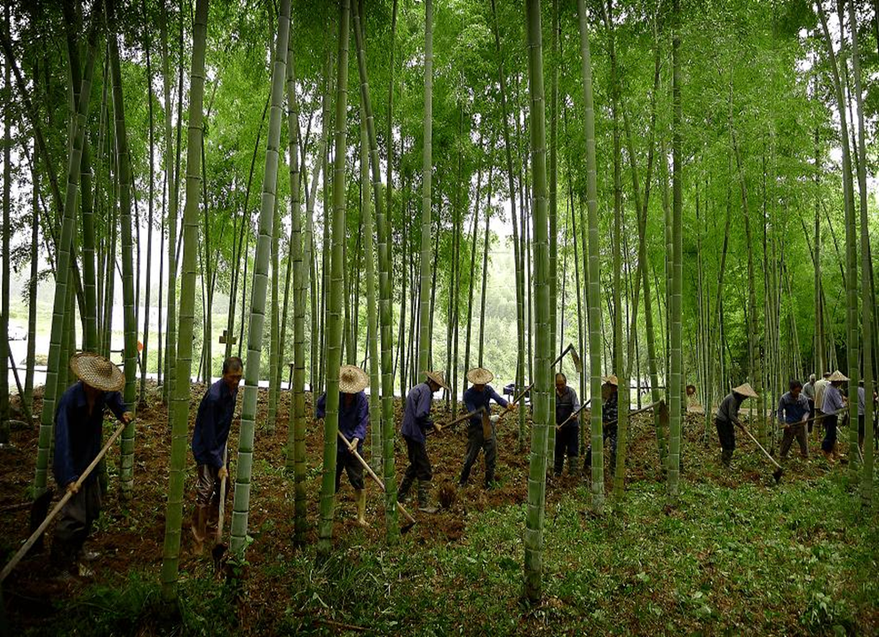 【專題】詳解商達公用農(nóng)村污水5.0生態(tài)化治理模式