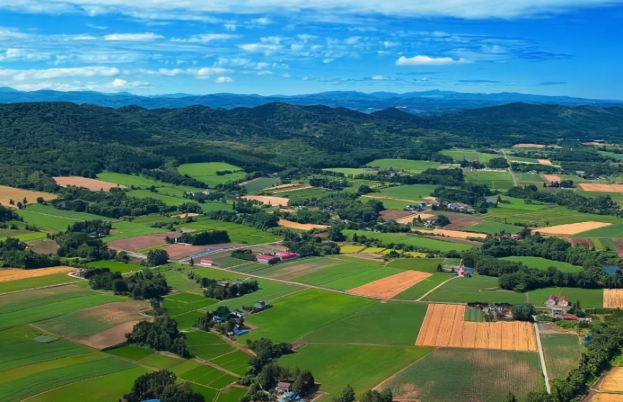 一圖讀懂 | 《長三角生態(tài)綠色一體化發(fā)展示范區(qū)碳達峰實施方案》
