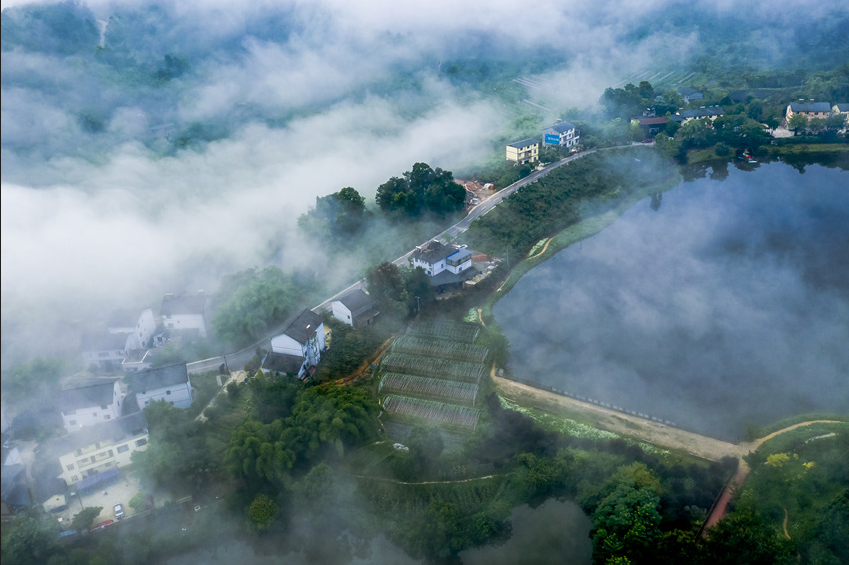 什么是碳達峰與碳中和？全球有哪些國家做出了碳中和承諾？