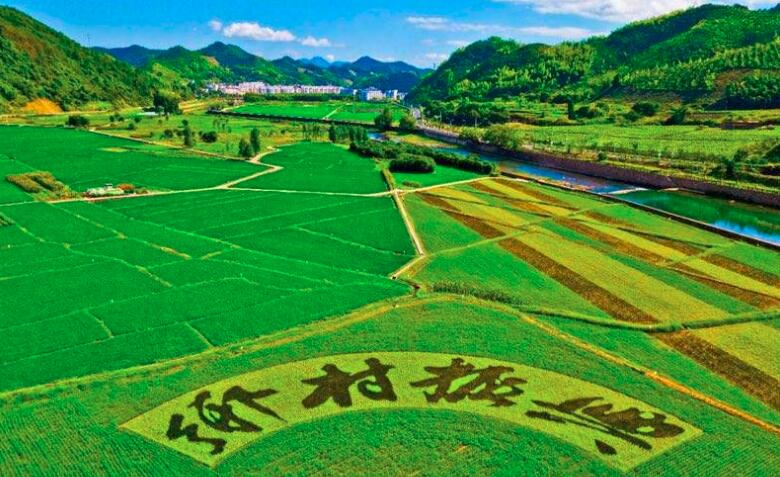 鄉(xiāng)村振興規(guī)劃實(shí)施進(jìn)展如何？這場(chǎng)發(fā)布會(huì)劃重點(diǎn)：系統(tǒng)治理優(yōu)生態(tài)