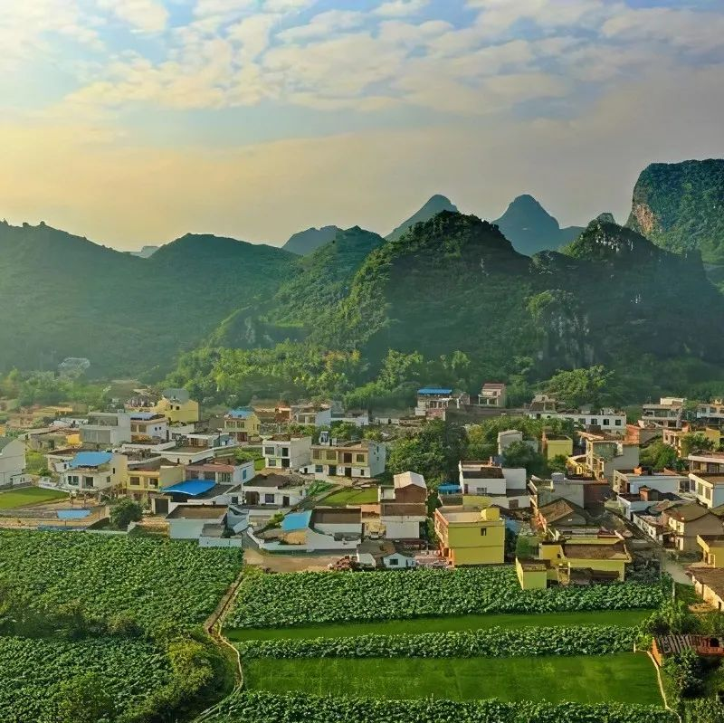 EOD模式的政策支撐、運(yùn)用邏輯和案例解讀