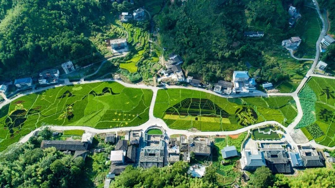 《關(guān)于擴(kuò)大當(dāng)前農(nóng)業(yè)農(nóng)村基礎(chǔ)設(shè)施建設(shè)投資的工作方案》全文發(fā)布！