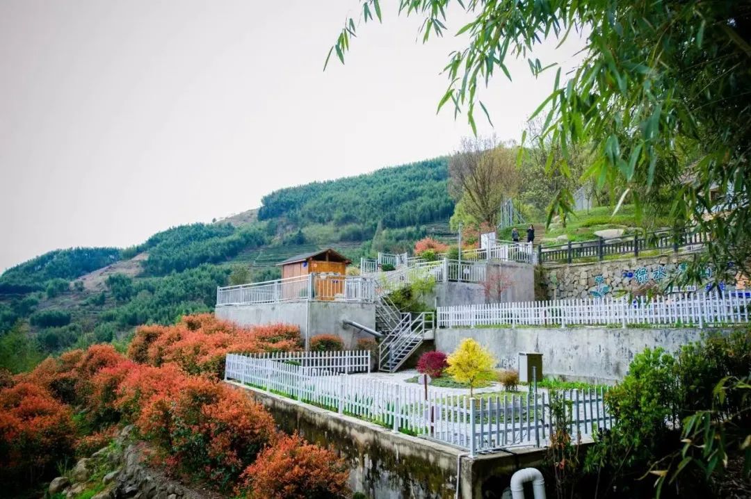 全國優(yōu)秀！臨安這個(gè)項(xiàng)目不簡單