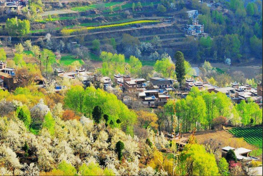 涉及農(nóng)村生活污水、黑臭水體整治等，內(nèi)蒙古印發(fā)城鄉(xiāng)建設(shè)綠色發(fā)展方案