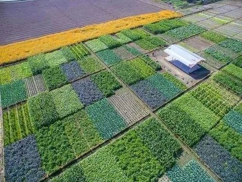 什么是數(shù)字鄉(xiāng)村？如何推進(jìn)建設(shè)智慧綠色鄉(xiāng)村？指南來(lái)了！