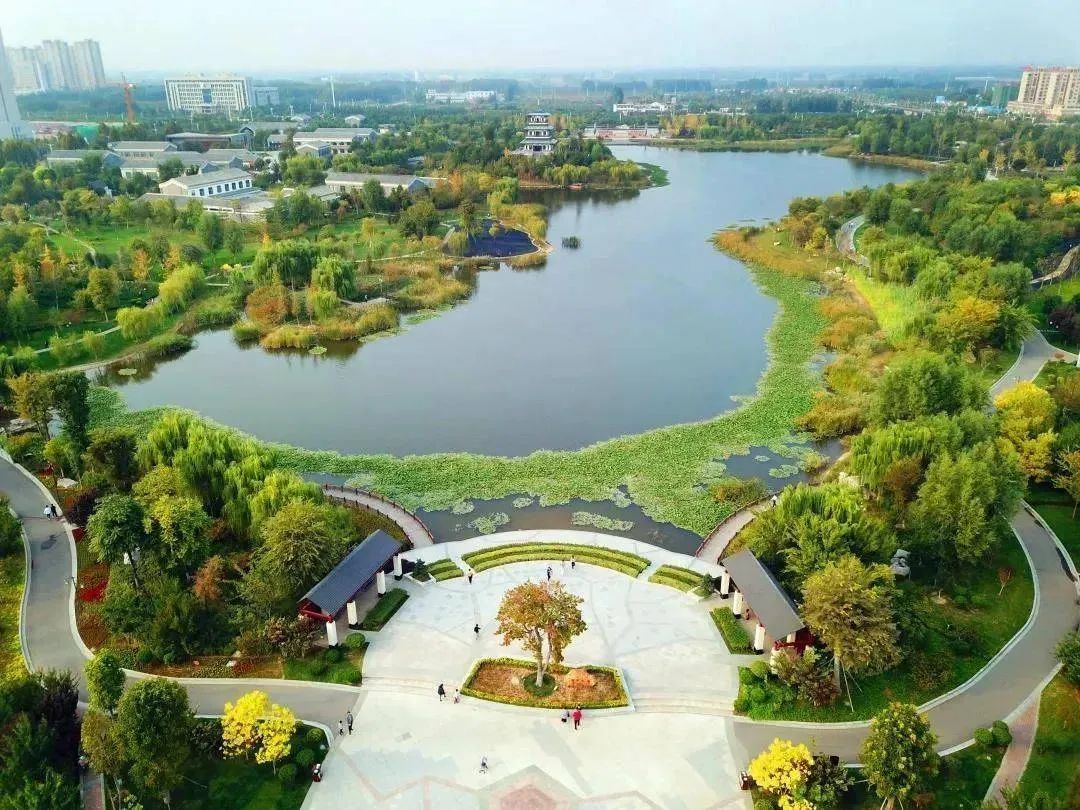 山東整縣域推進鄉(xiāng)村生態(tài)振興 到2025年，將新增完成1.67萬個行政村環(huán)境整治，基本消除農(nóng)村黑臭水體