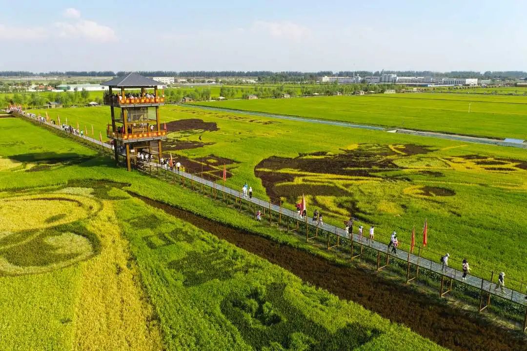 寧夏3年累計下達農(nóng)村生活污水以獎代補資金7.92億元