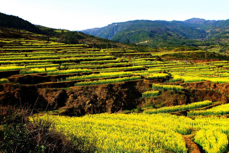 農(nóng)污設(shè)施正常運(yùn)行率80%，山西省水環(huán)境質(zhì)量再提升2022-2023年行動(dòng)計(jì)劃發(fā)布