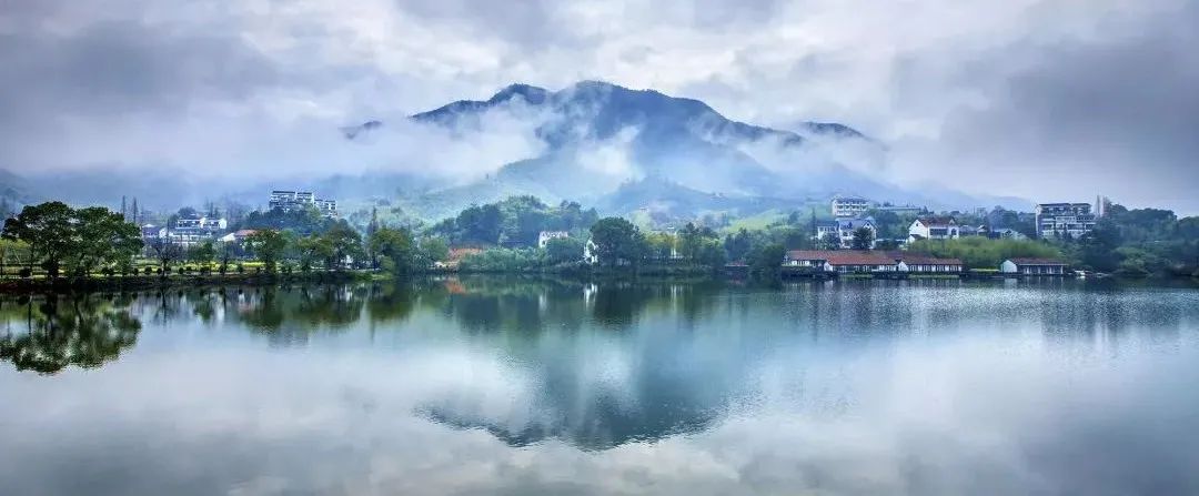 中央鄉(xiāng)村振興的宏觀大政：產(chǎn)業(yè)興旺、生態(tài)宜居、鄉(xiāng)風(fēng)文明、治理有效、生活富裕