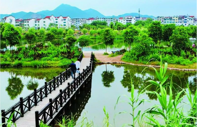 《中國環(huán)境報(bào)》頭版頭條：浙江構(gòu)建降碳、減污、擴(kuò)綠、增長(zhǎng)整體智治體系