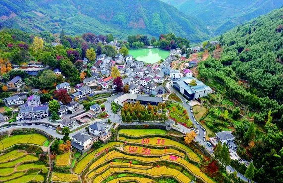 喜訊丨商達公用被命名為“臨安區(qū)青少年科普教育基地”