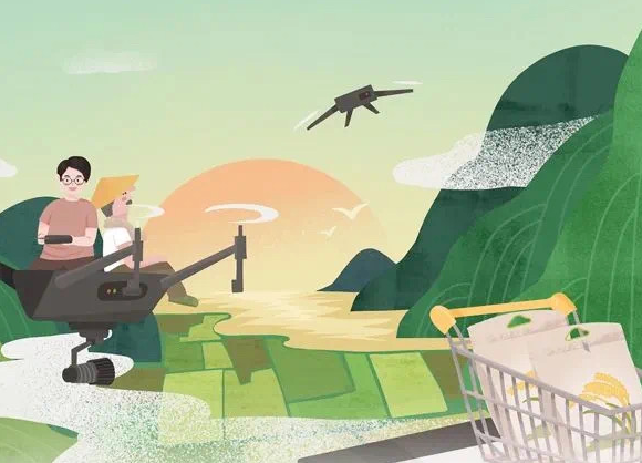 全國唯一！浙江明確“156”工作體系，全面推進(jìn)數(shù)字鄉(xiāng)村引領(lǐng)區(qū)建設(shè)