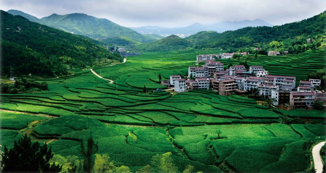 2023年中央一號(hào)文件，與生態(tài)環(huán)保息息相關(guān)的內(nèi)容有哪些？