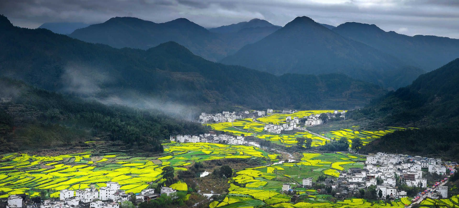 農(nóng)業(yè)農(nóng)村部一號(hào)文件發(fā)布：統(tǒng)籌推進(jìn)農(nóng)村生活污水和垃圾治理！