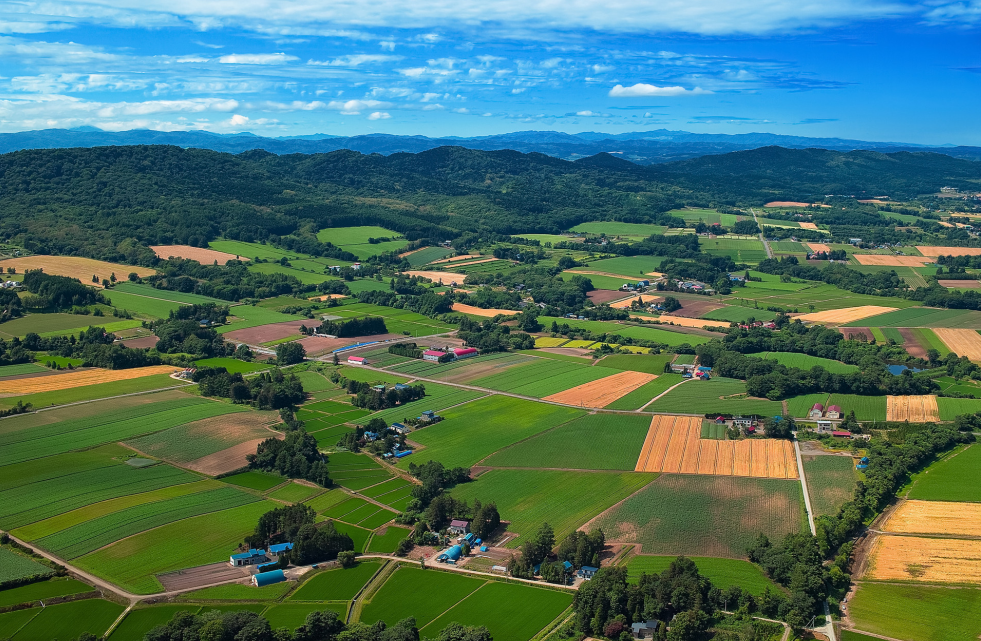 2023年鄉(xiāng)村振興項目申報及政策補貼匯總，支持鄉(xiāng)鎮(zhèn)污水處理、農(nóng)村人居環(huán)境整治、智慧農(nóng)業(yè)和數(shù)字鄉(xiāng)村等領(lǐng)域