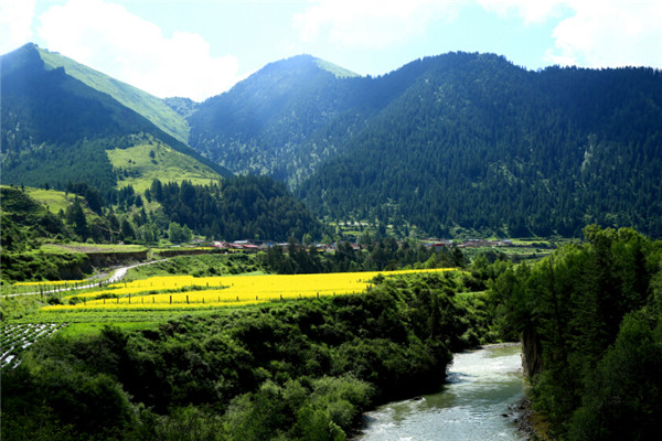 建設(shè)村莊垃圾收集點、鄉(xiāng)鎮(zhèn)垃圾轉(zhuǎn)運站，《甘肅省鄉(xiāng)村建設(shè)行動實施方案》明確這些要求！