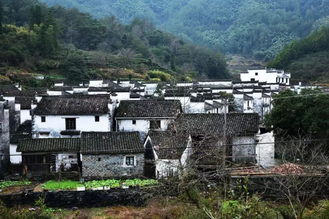 七部門明確！在農(nóng)村人居環(huán)境整治提升中統(tǒng)籌考慮減污降碳要求