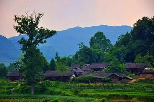 寧夏農(nóng)村生活污水處理設(shè)施運行維護管理辦法（試行）