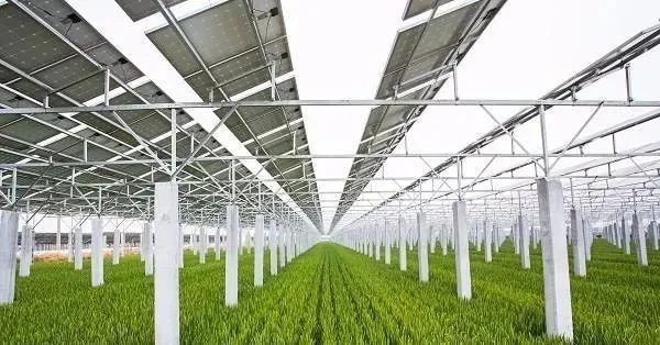 “光伏+農(nóng)業(yè)”八大新模式，一個(gè)正在打開的未來！