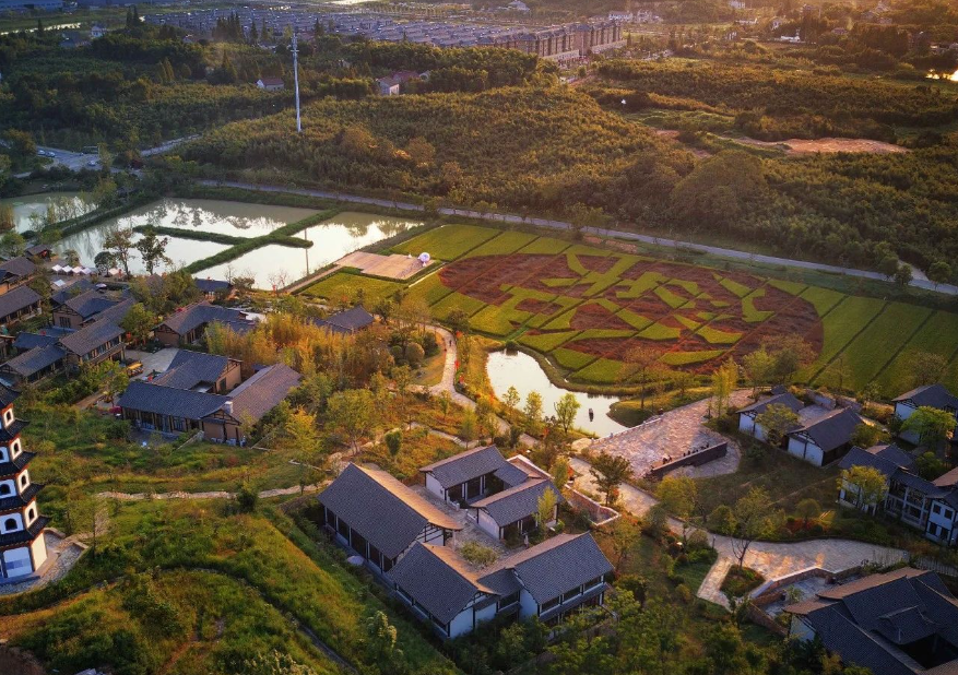 綠水青山何以成為金山銀山？“解碼”浙江可持續(xù)發(fā)展之路