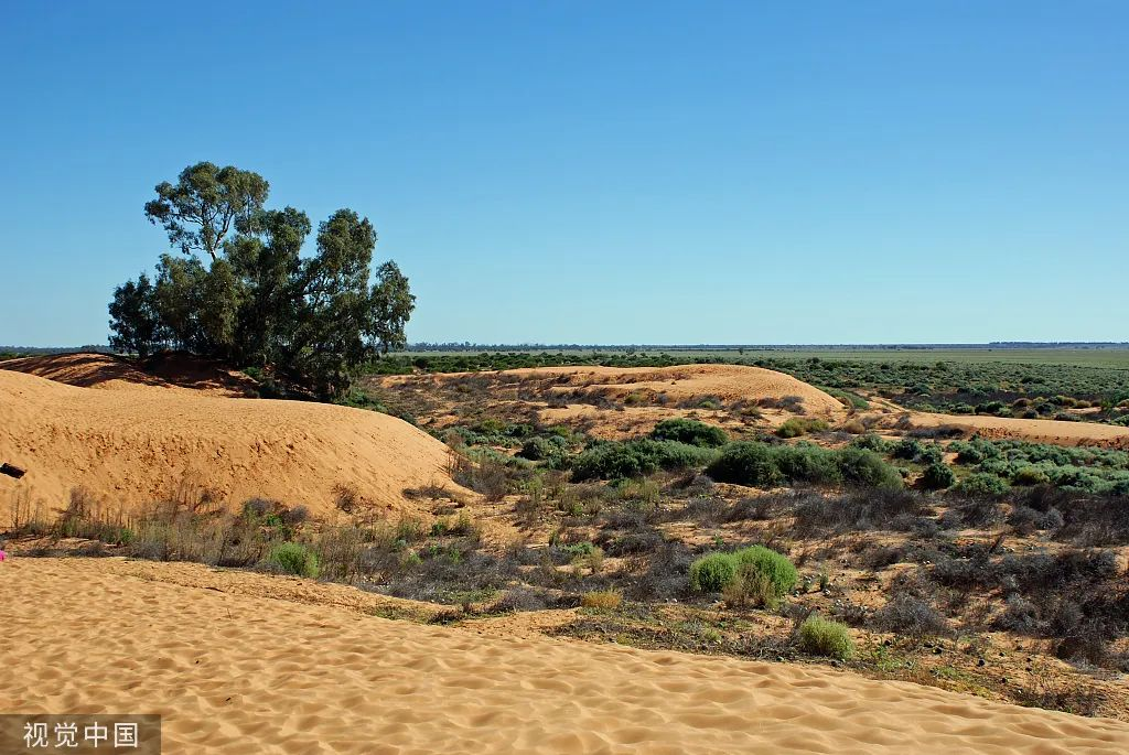 6·5世界環(huán)境日｜環(huán)境保護科普知識