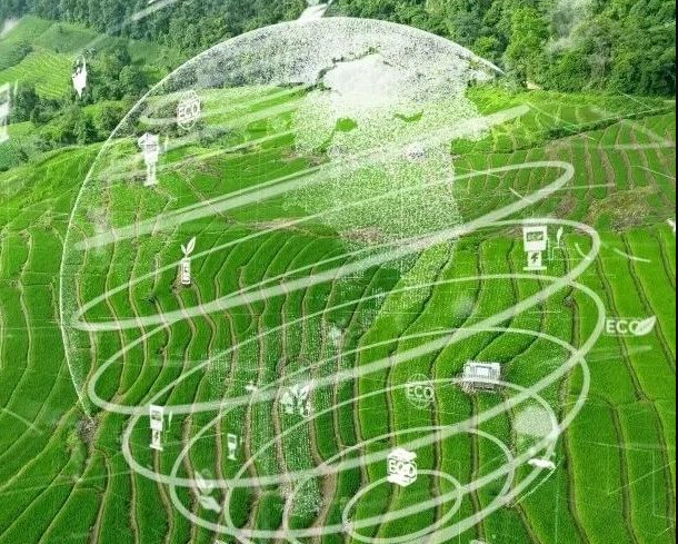 農(nóng)業(yè)碳匯加速入局碳交易，農(nóng)產(chǎn)品固碳價(jià)值“變現(xiàn)”可期