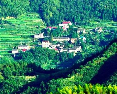 《浙江省綠色低碳轉(zhuǎn)型促進(jìn)條例（草案送審稿）》公開征求意見