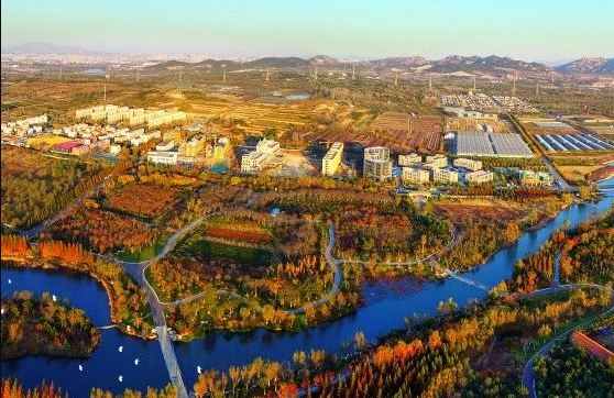 什么是農(nóng)村生活污水全域治理的“青島速度”？