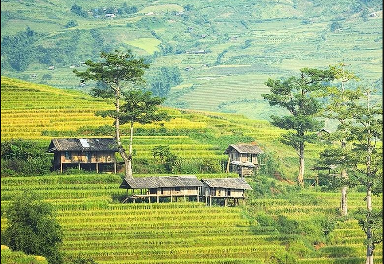 農(nóng)村生活污水凈化裝置團(tuán)體標(biāo)準(zhǔn)通過(guò)批準(zhǔn)，12月1日起正式實(shí)施