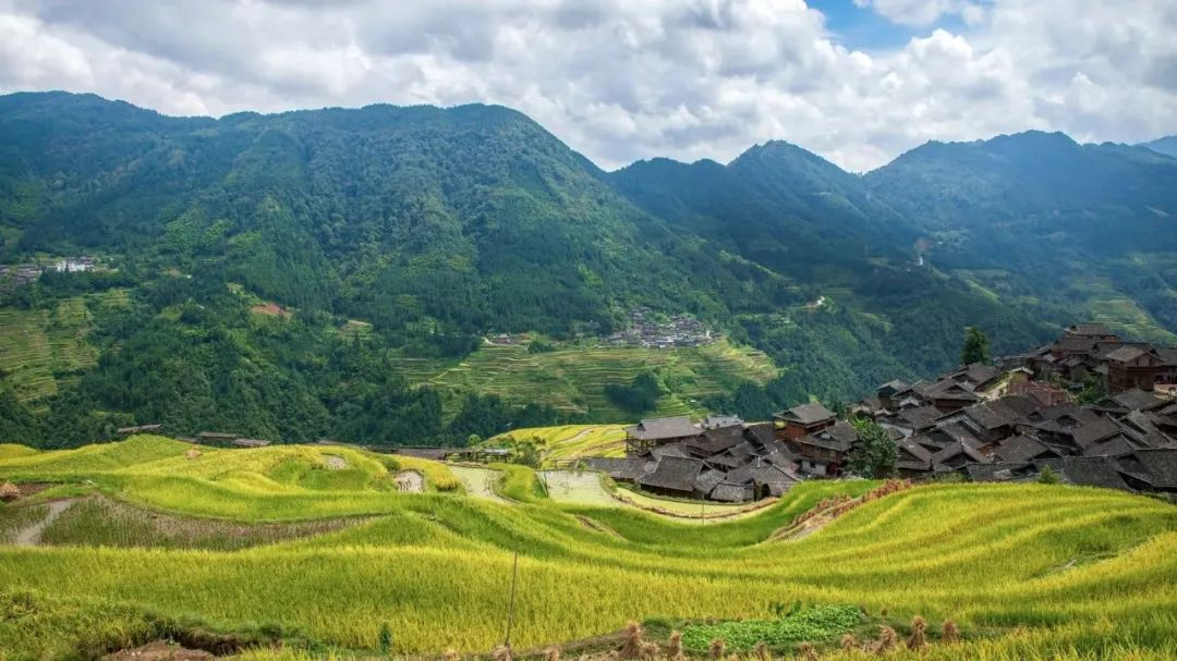 安徽：農(nóng)村黑臭水體整治，強(qiáng)化推進(jìn)會(huì)落實(shí)