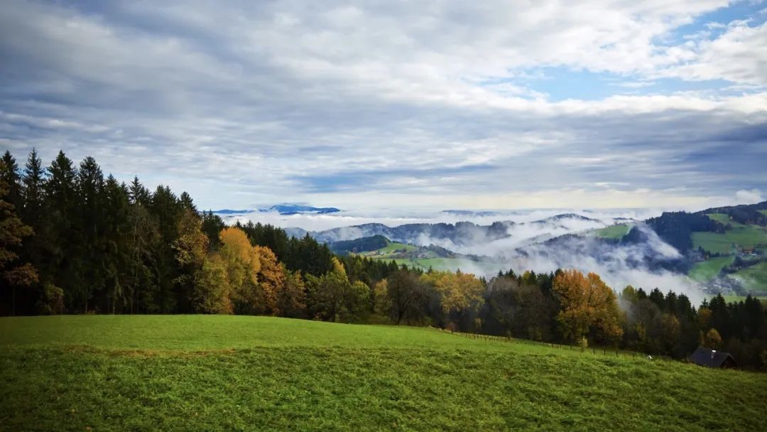 海口：農(nóng)村黑臭水體整治中的“四下基層”制度應(yīng)用