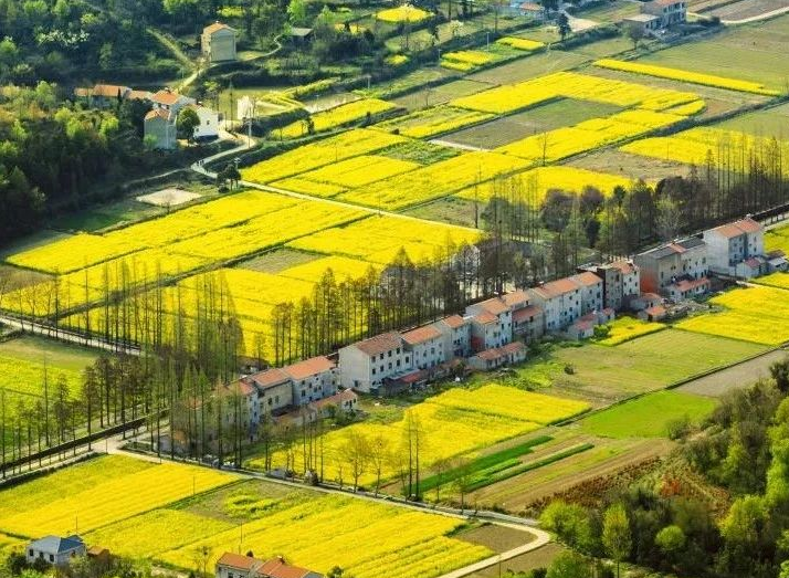 2025年治理率達到65.76%以上，武漢市農(nóng)村生活污水治理三年行動實施方案發(fā)布