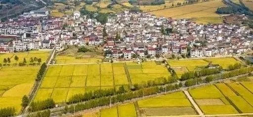 未來5年，鄉(xiāng)村產(chǎn)業(yè)8大投資重點(diǎn)在哪里？