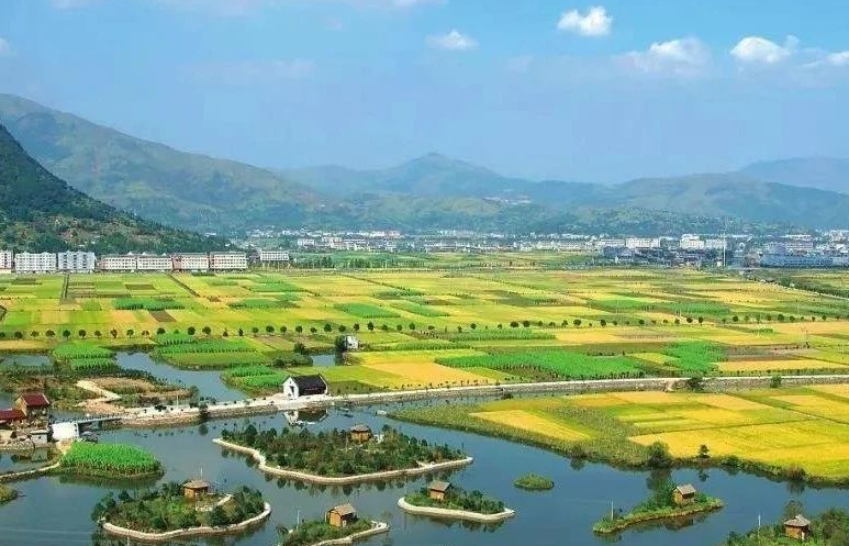 鄉(xiāng)村振興工作滯后，約談！江西省委、省政府發(fā)布《江西省鄉(xiāng)村振興責(zé)任制實(shí)施細(xì)則》