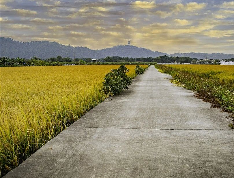 12月16日?qǐng)?zhí)行！廣東省農(nóng)業(yè)農(nóng)村廳 廣東省財(cái)政廳關(guān)于印發(fā)《廣東省現(xiàn)代農(nóng)業(yè)產(chǎn)業(yè)園財(cái)政資金管理辦法（修訂）》的通知